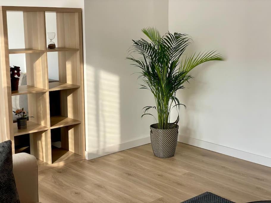 Appartement 73M2 - 2 Chambres - Parking - Wi-Fi Toulouse Ngoại thất bức ảnh