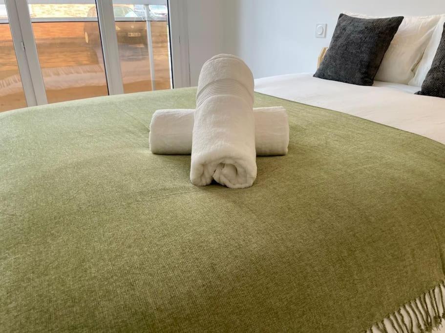 Appartement 73M2 - 2 Chambres - Parking - Wi-Fi Toulouse Ngoại thất bức ảnh