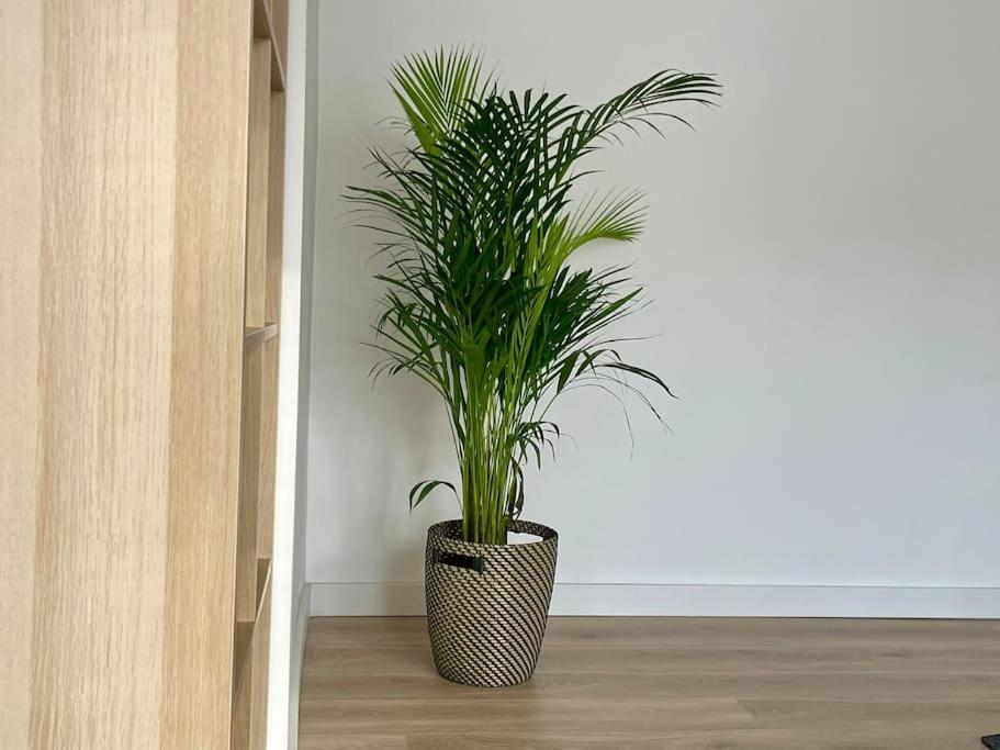 Appartement 73M2 - 2 Chambres - Parking - Wi-Fi Toulouse Ngoại thất bức ảnh